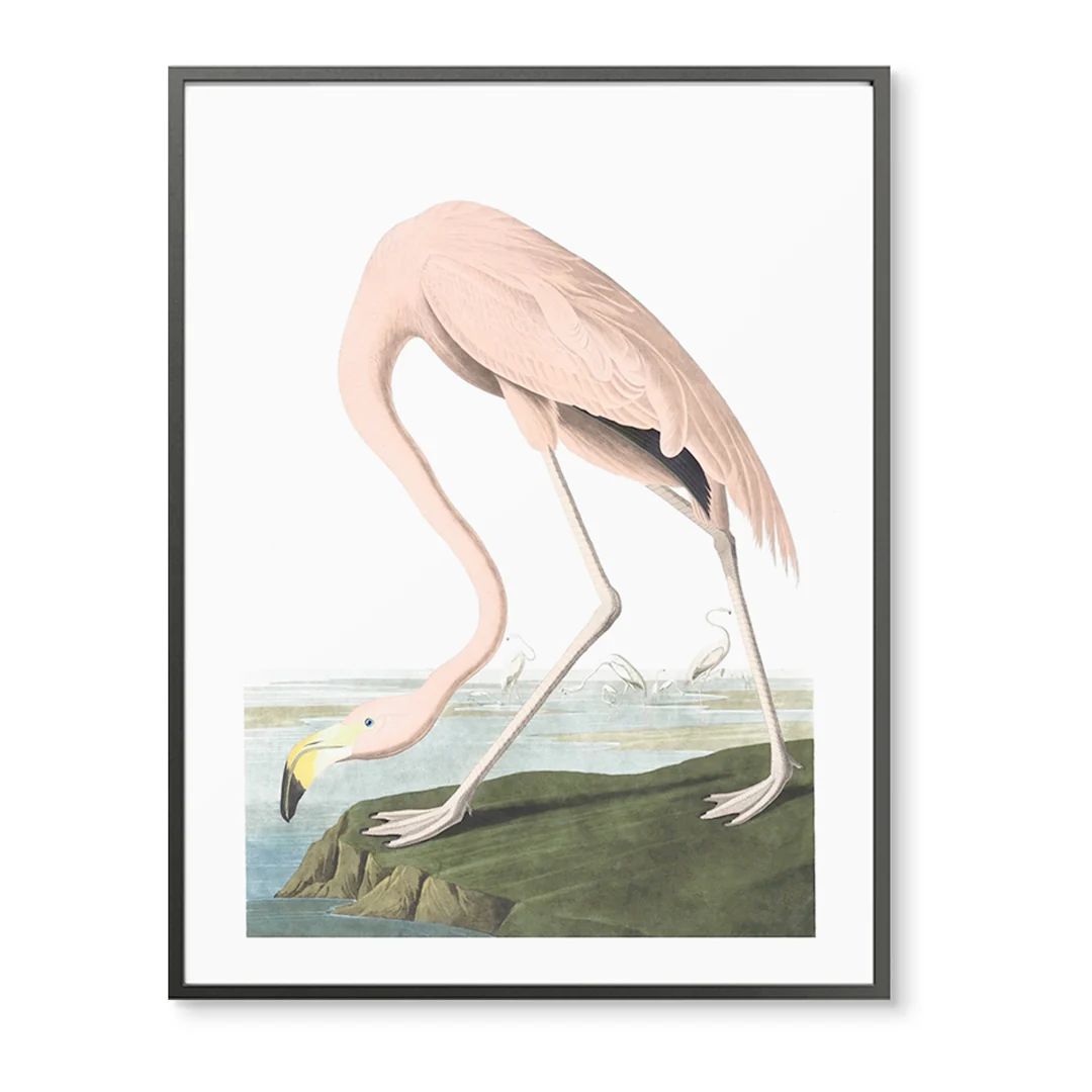 Vintage Flamingo on the Rock | Urban Garden Prints