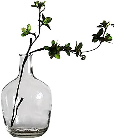 BUICCE Handbrown Transparent Glass Vases for Decor Large Bubble Vintage Floor Vase Clear for Bran... | Amazon (US)