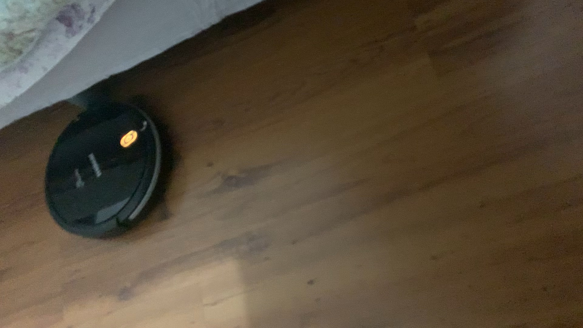 O melhor aliado para papais de PET: Robô Aspirador.
Limpa muito bem o piso laminado. 

#LTKbrasil #LTKwinter