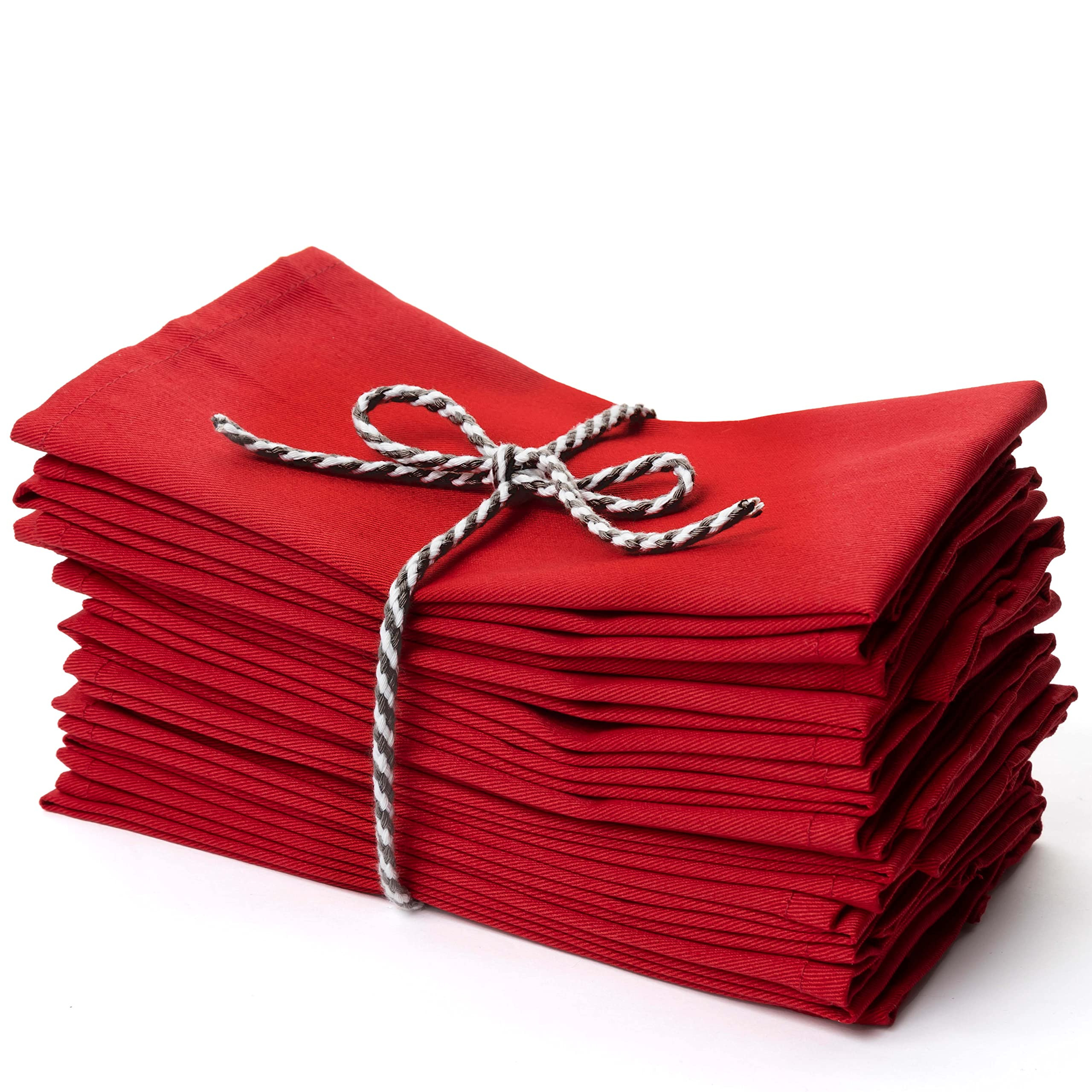 Christmas Red Cloth Dinner Napkins Kitchen Cloth Napkins 12 Pack 18X18 Inches Cotton Blend Soft F... | Amazon (US)