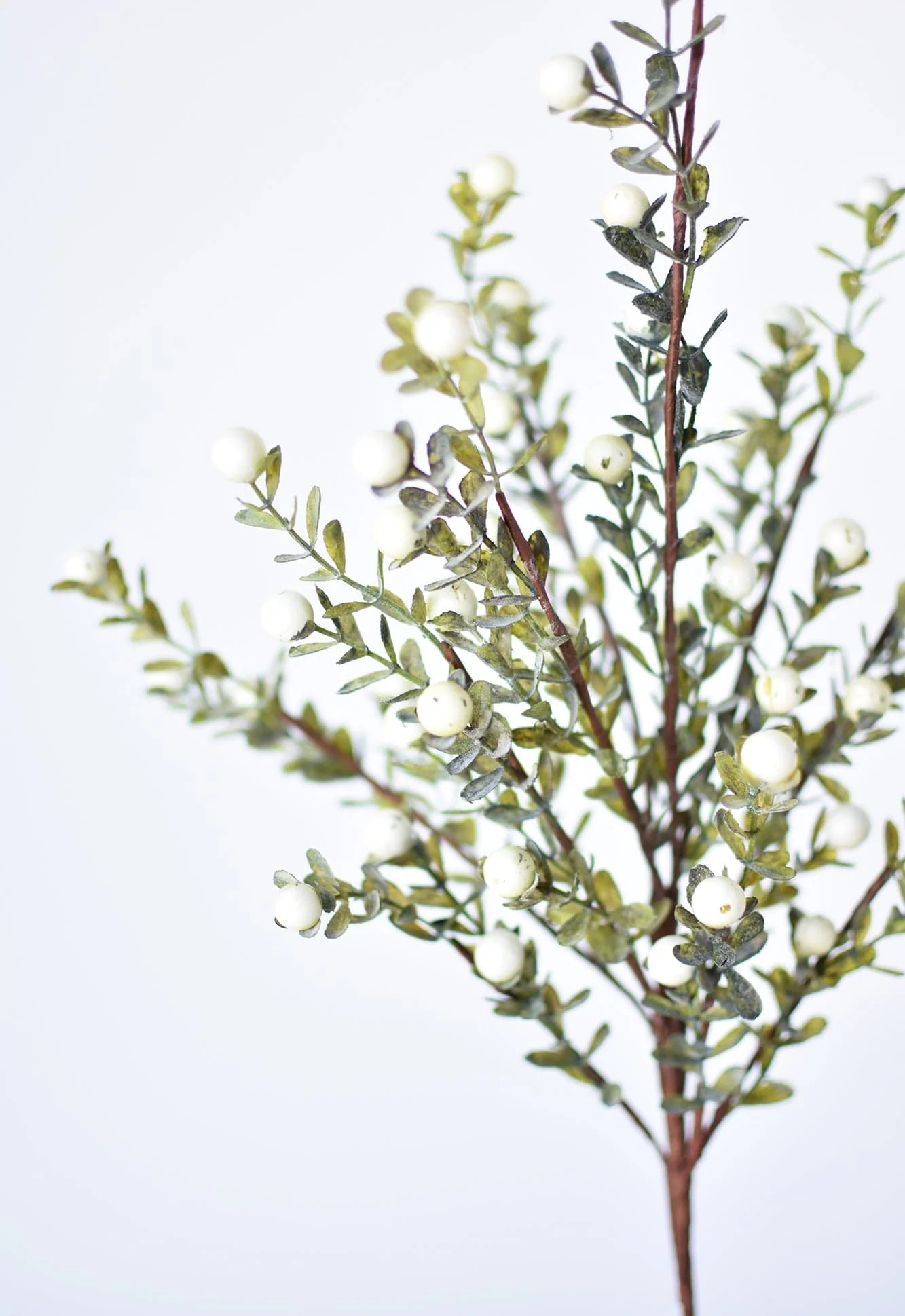 21” White Berry Boxwood Greenery Stem | HouseFloral
