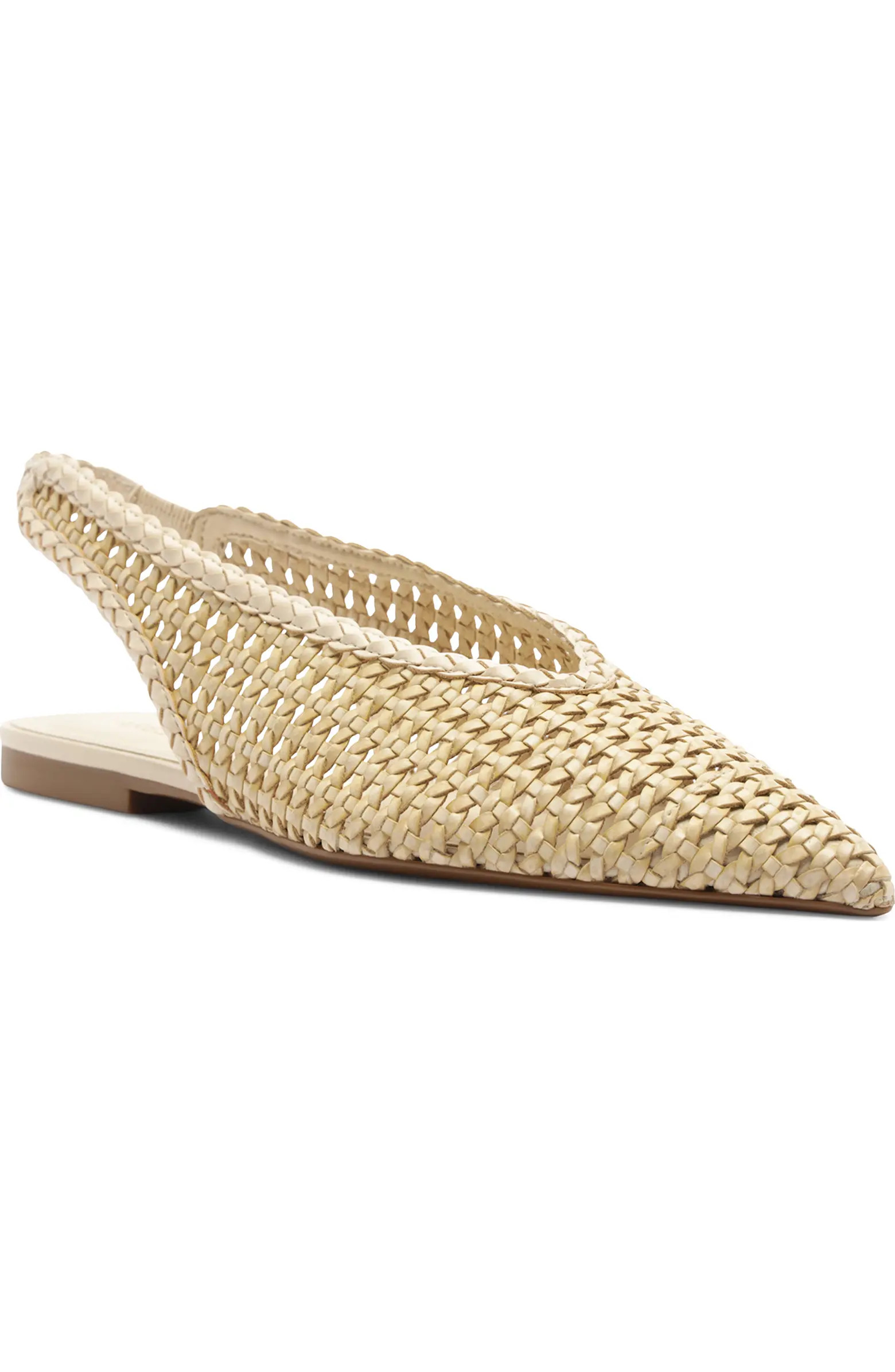 Eva Slingback Pointed Toe Flat (Women) | Nordstrom