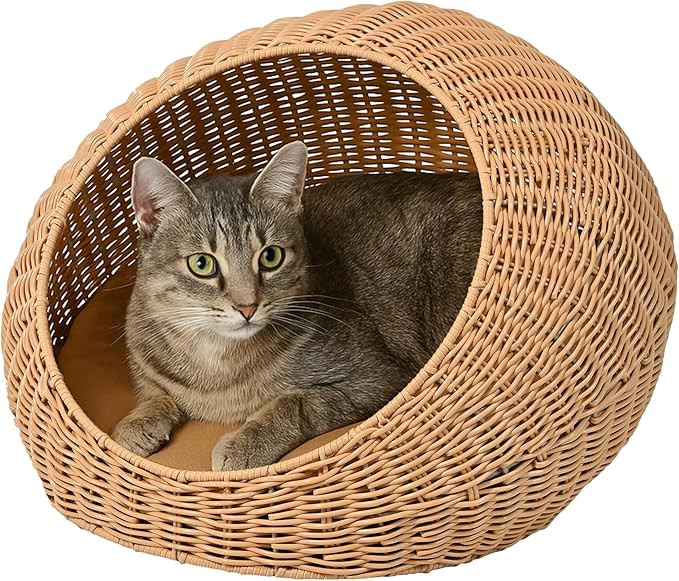 CBD3000A Fiora 19.5" x 18" Modern Circular Faux Wicker Pet Bed with Machine-Washable Cushion, Cat... | Amazon (US)
