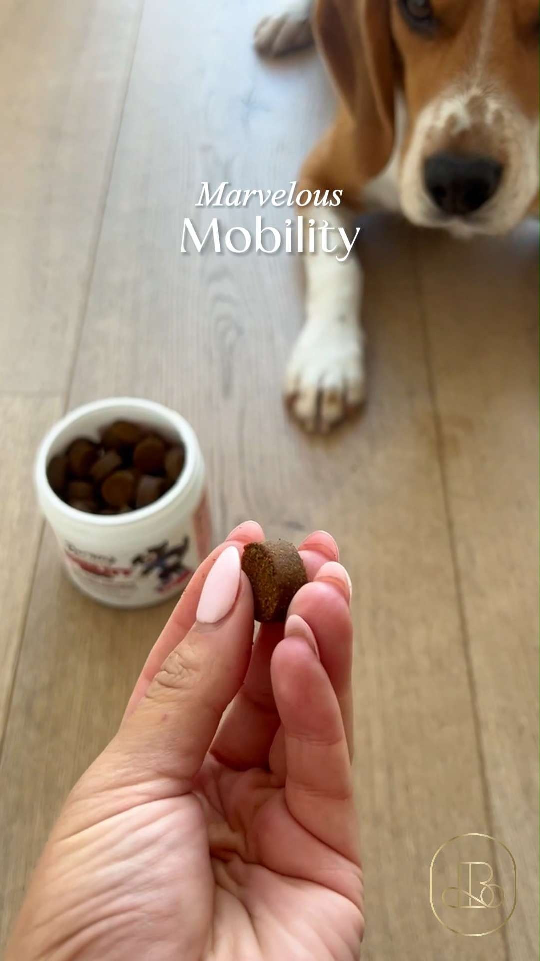 Help your furry best friend regain their youthful bounce and zest for life! Bernie’s Marvelous Mobility is a total game-changer for pet parents who want to support their dog's long-term joint health and flexibility 🐕 It’s a fantastic gift for the dog owner friend or if you have an active pup who loves long runs! 🦴 #BerniesMarvelousMobility #DogHealth #DogSupplements #PetCareHacks  #DogMobility #WellnessJourney #PetParenting 

#LTKmomlife #LTKHome