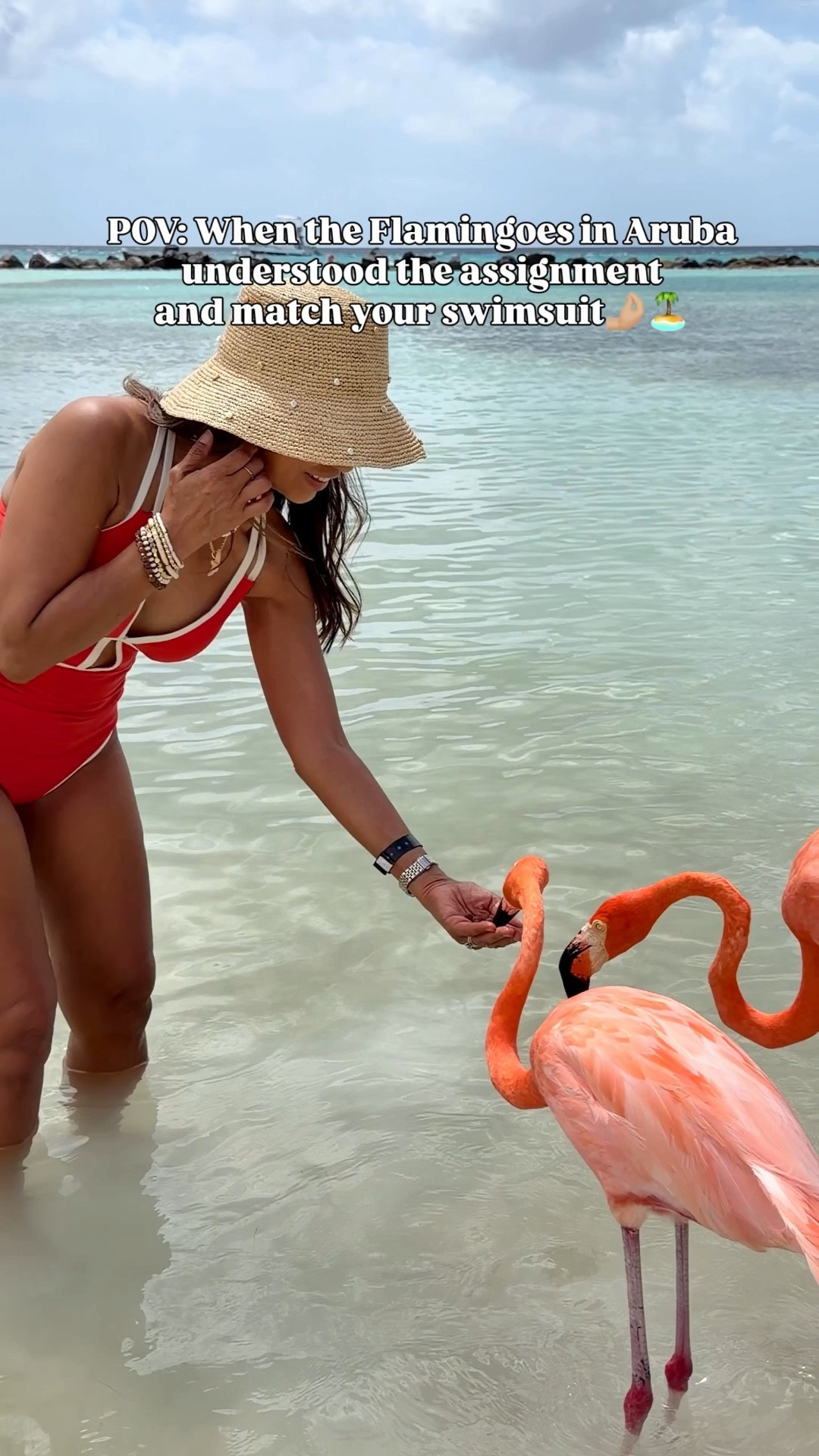 I’m 5’2” 118#ish for reference 
Swimsuit in small tts- tummy control and great back coverage with amazing reviews!
Swim cover up I pair it with in small.
Sandlas tts.
Beach Accesories are linked. 
Spring break, Amazon finds, over 50 style, midlife fashion, petite fashion,midlife fashion, affordable fashion, fashion over 40

#LTKSwim #LTKOver40 #LTKPetite