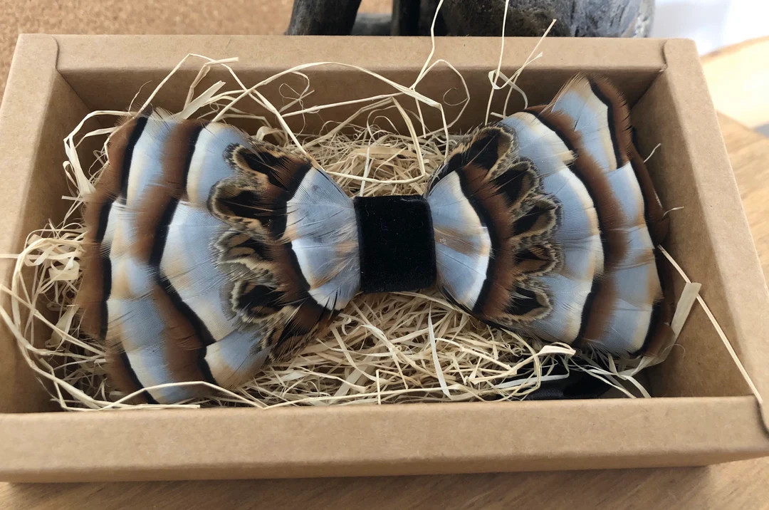 Handmade Partridge & Pheasant Feather Bow Tie- Style C - Etsy | Etsy (US)