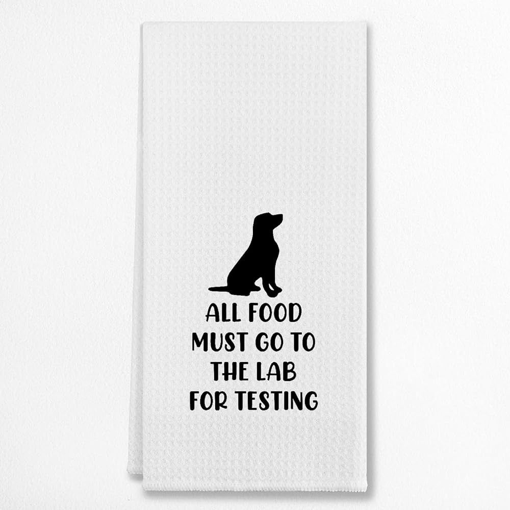 All Food Must Go to The Lab for Testing Kitchen Towels & Tea Towels,Dish Cloth Flour Sack Hand To... | Amazon (US)