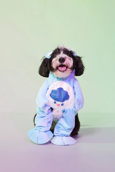 Care Bears Grumpy Bear Dog Halloween Costume | Urban Outfitters (US and RoW)