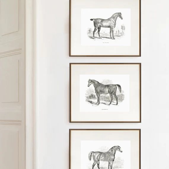 Set of 3 Equestrian Art Prints    Gift for Horse Lover   | Etsy | Etsy (US)