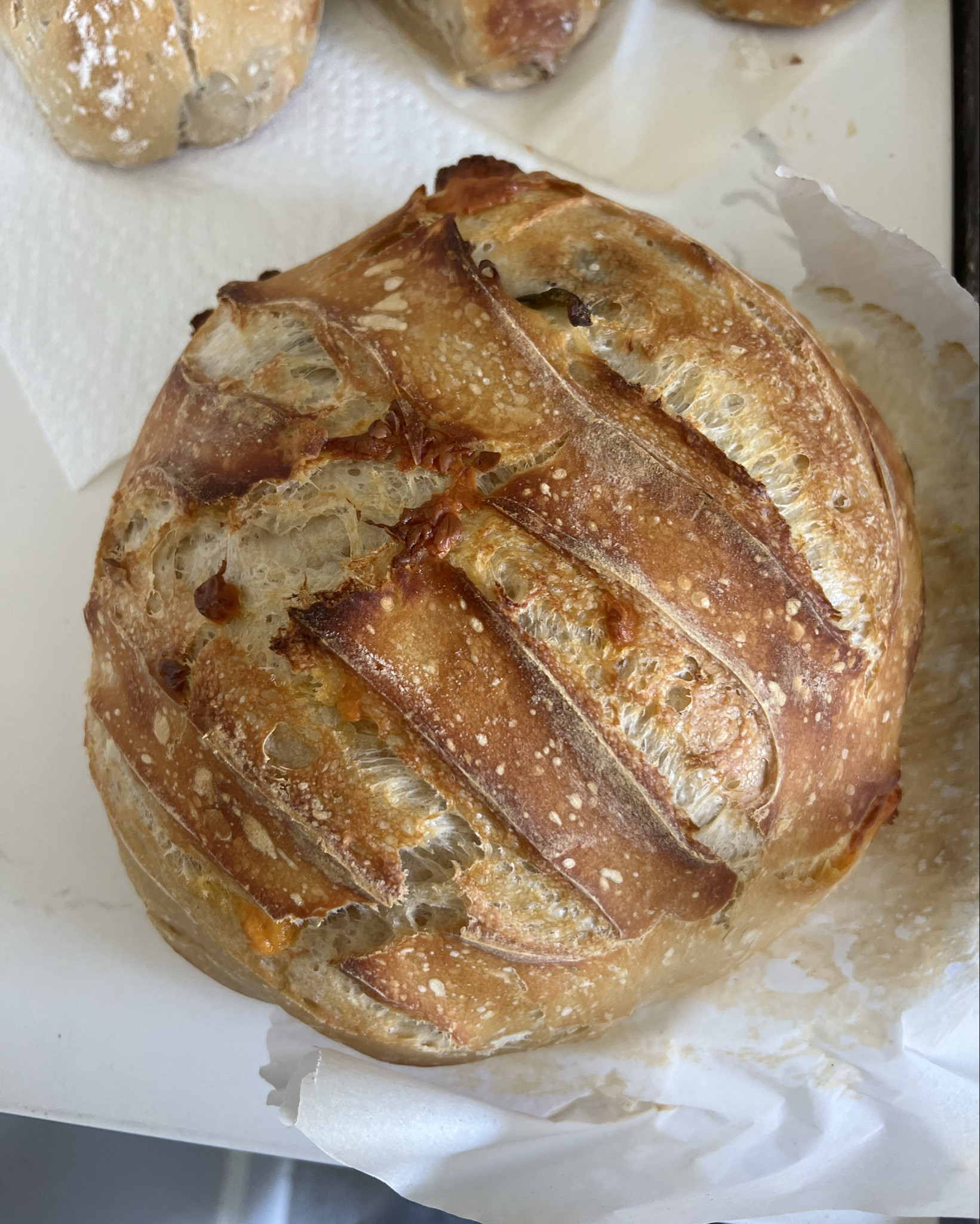 SOURDOUGH MUST HAVES! 🤎🍞🥖 get to baking ladies- all you need to make loaves at home! 

#LTKActive #LTKFamily #LTKHome