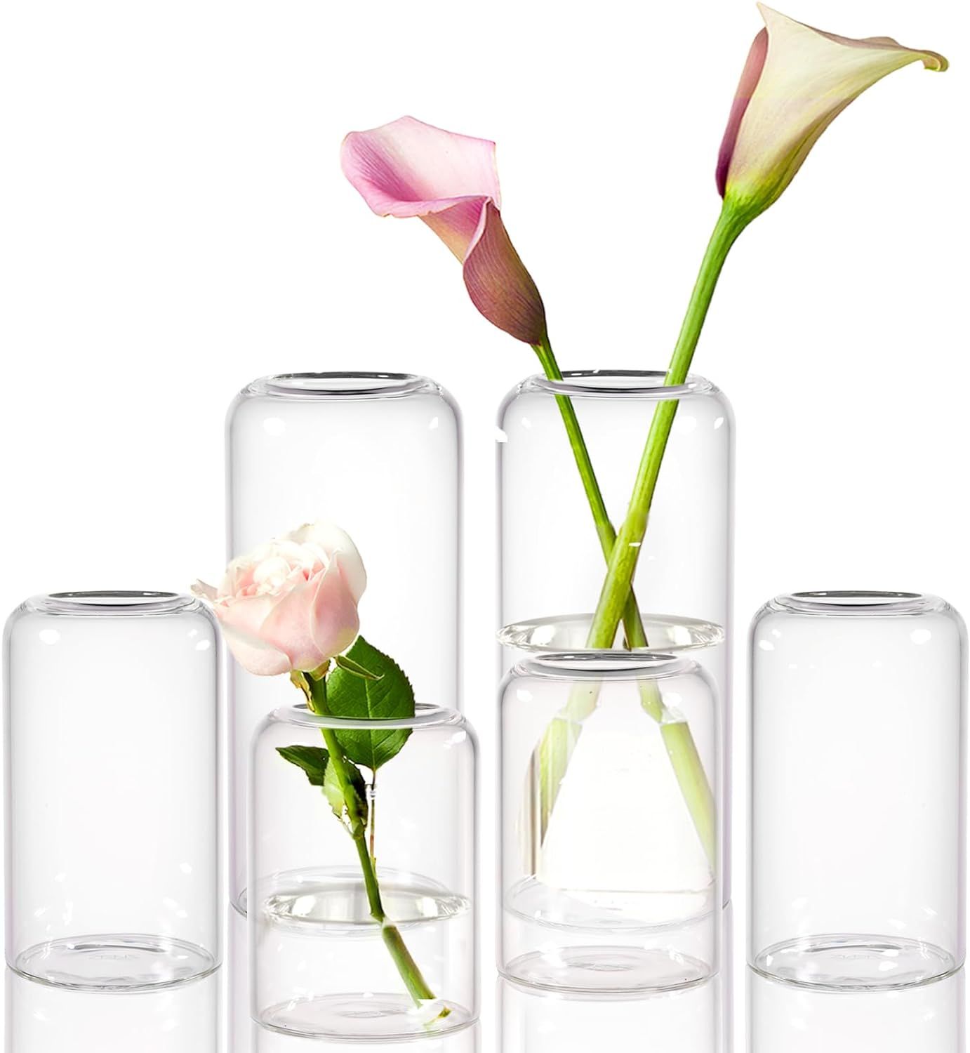 ZENS Glass Bud Vase Set of 6, Modern Hand Blown Small Bud Vases in Bulk for Flower, Clear Cylinde... | Amazon (US)