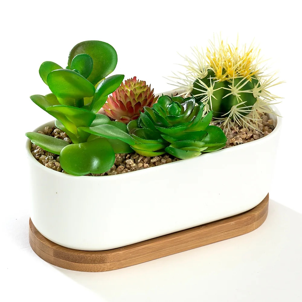 White Oval 6.8" Ceramic Succulent Planter Pot with Bamboo Saucer, Window Plant Container Box | Walmart (US)