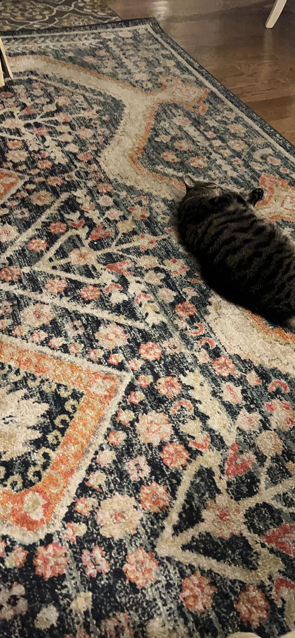 Loloi II Jocelyn Collection JOC-05 Navy/Multi 4'-0" x 6'-0" Accent Rug | Amazon (US)