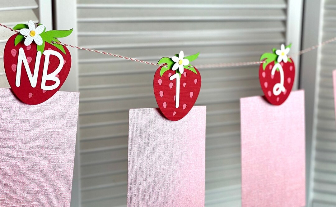 Strawberries and Daisies 1st Year Photo/milestone Banner. Berry Sweet Nb-12mo Banner. Strawberry ... | Etsy (US)