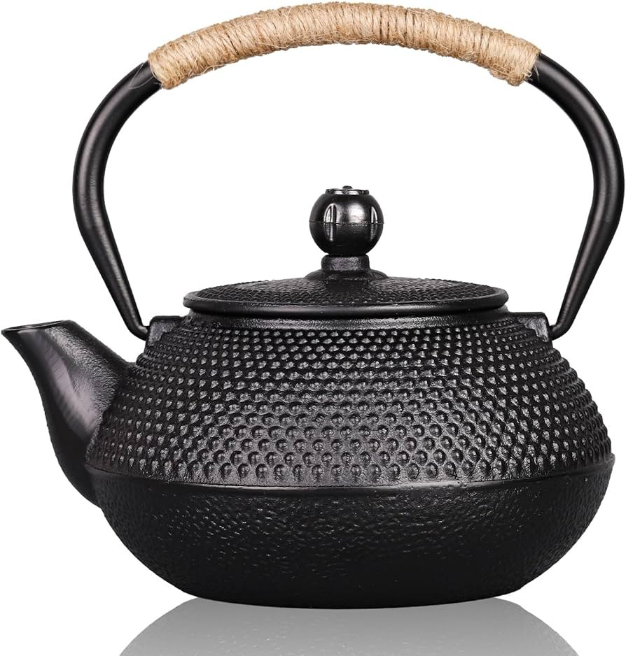 PARACITY Cast Iron Teapot Japanese Tetsubin Coated with Stainless Steel Infuser, Stovetop Tea Ket... | Amazon (US)