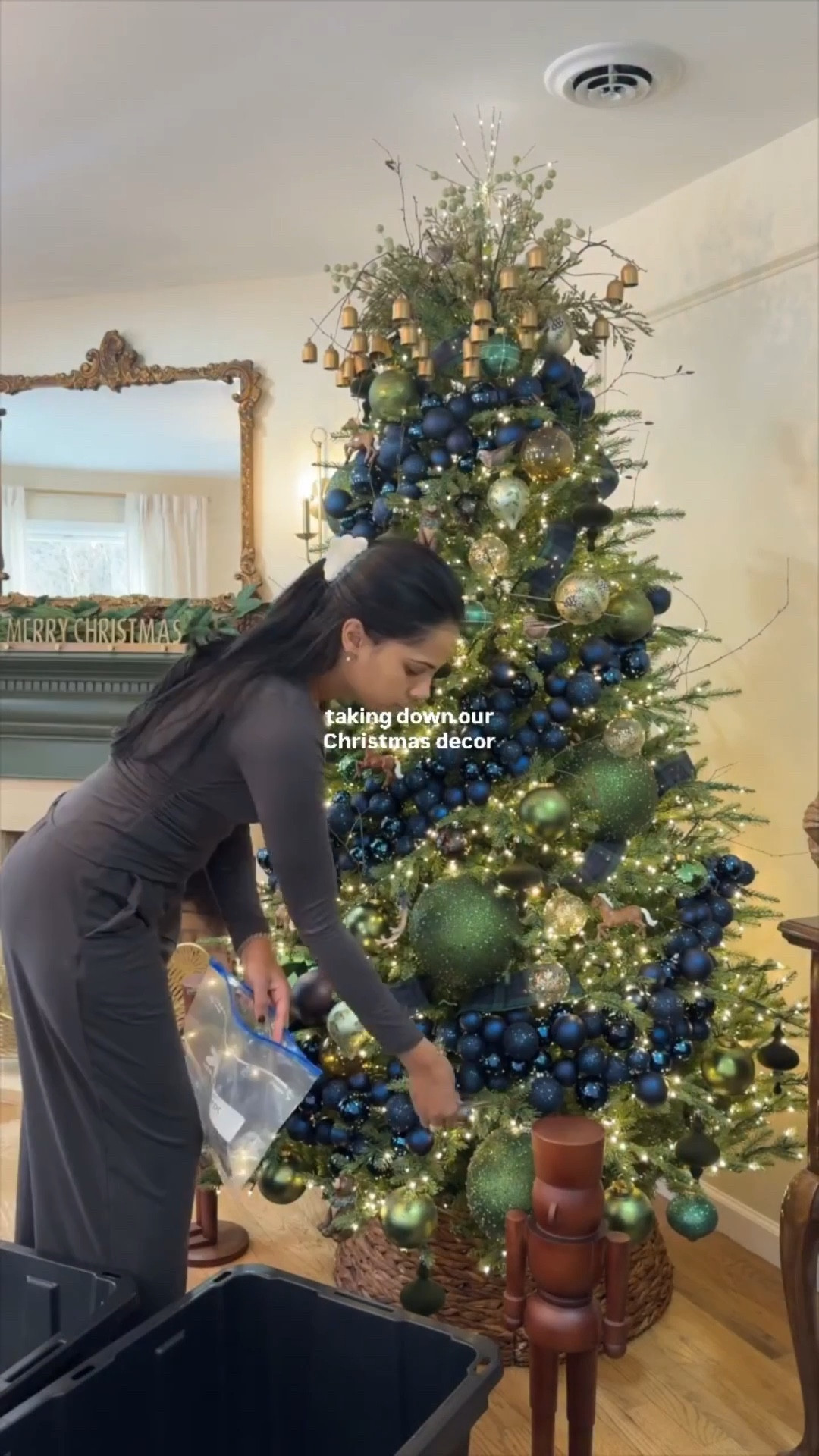 A little 2026 home reset… comment “SHOP” or “storage” for links! Finally taking down all SIX Christmas trees and organizing them! Full video now live on YT 🫶🏽✨