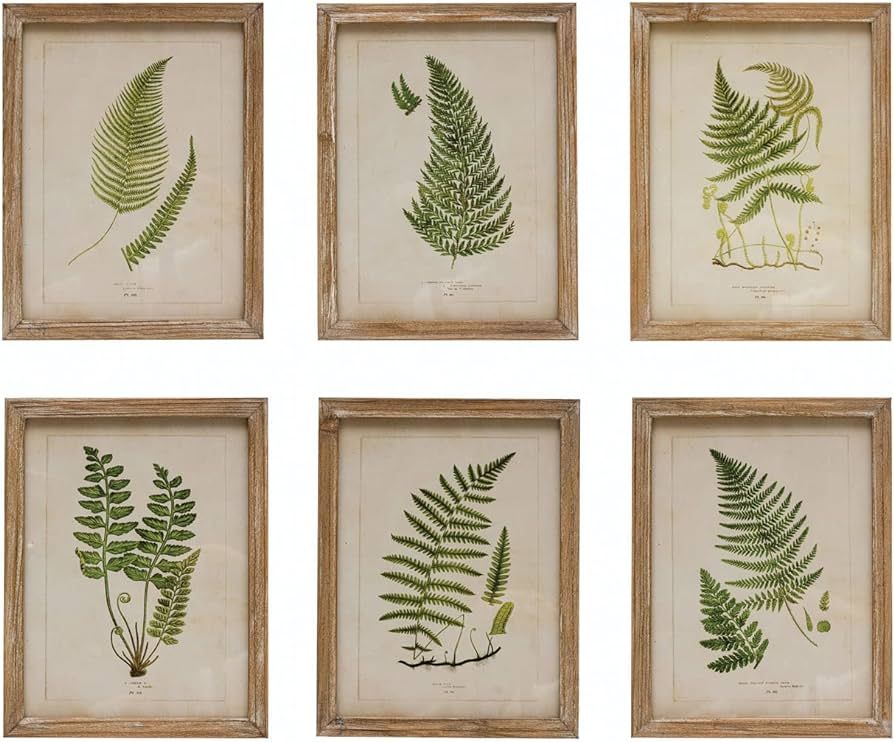 Creative Co-Op Wood Framed Wall Decor Portrait with Fern Fronds, Multicolor, Set of 6 | Amazon (US)