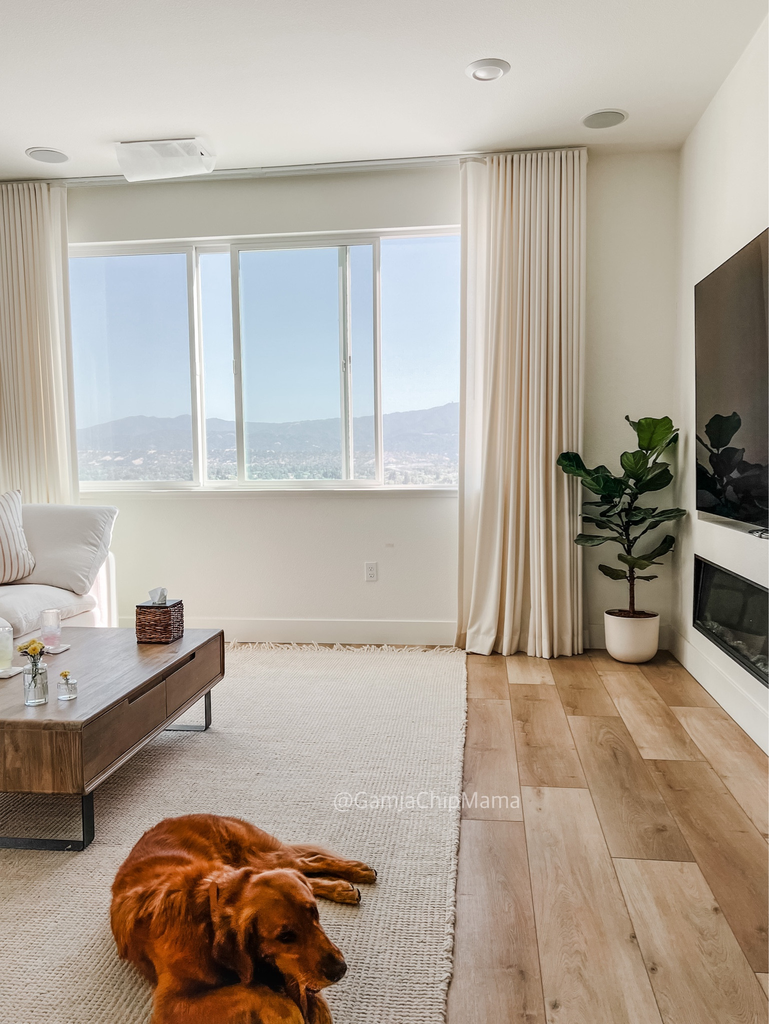 Rug - holds up two Goldens 🙈

#LTKFind #LTKstyletip #LTKhome