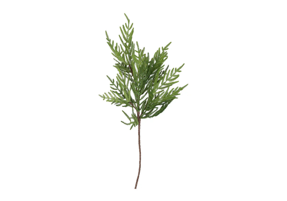 GRADIENT FIR STEM | Alice Lane Home Collection