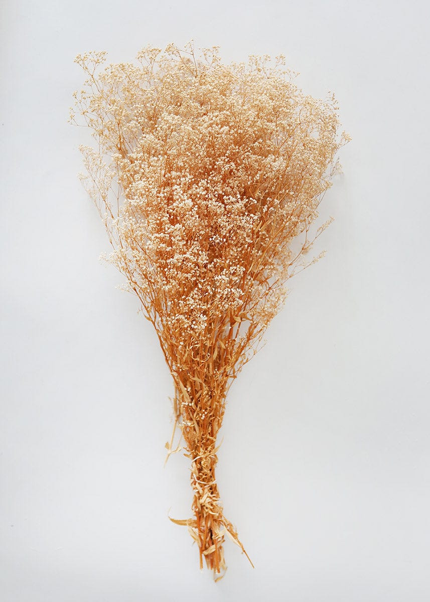 Preserved Natural Gypsophila Flower Bundle - 18 -28" | Afloral