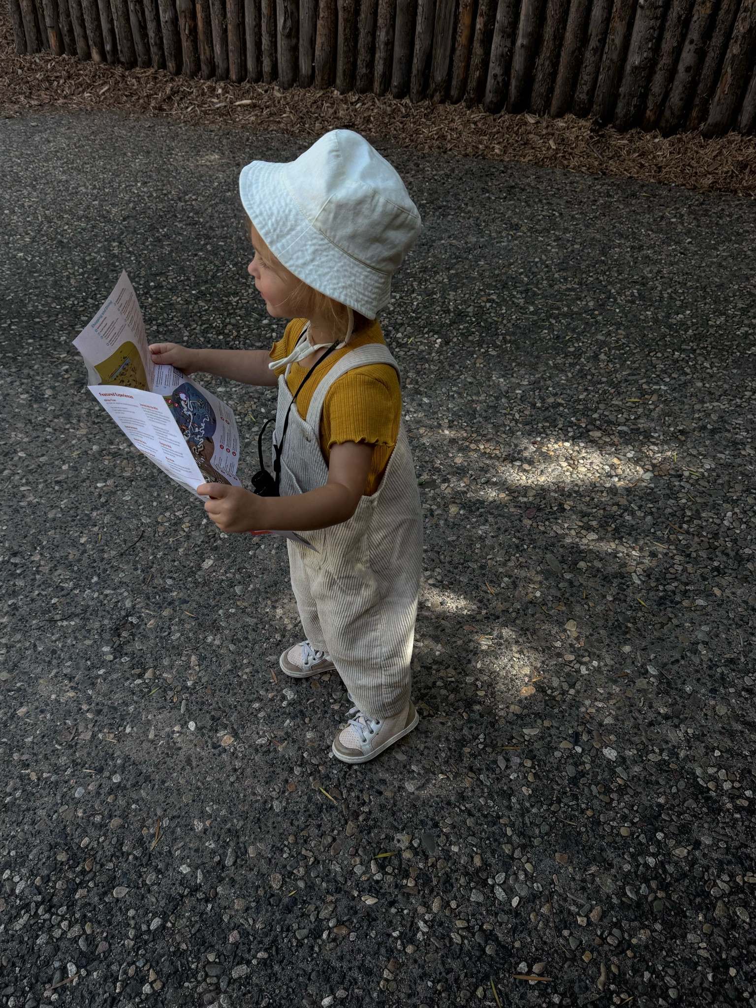 My little Nora the explorer at the Zoo 
Corduroy Toddler Overalls 🤍🔎