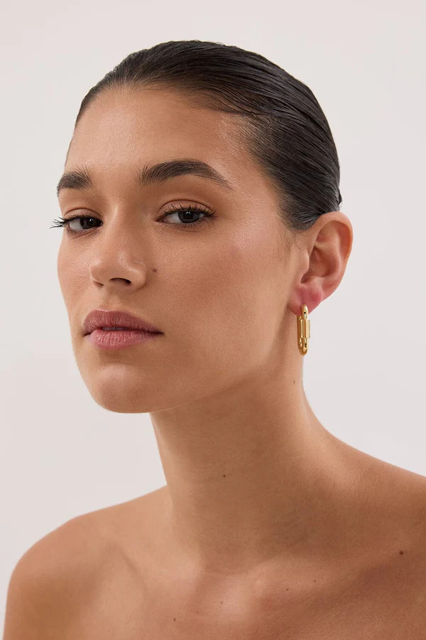 F+H GOLD DISENGAGE HOOP LARGE | DISSH