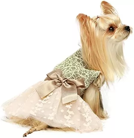 Fitwarm Fancy Flower Dog Dresses curated on LTK