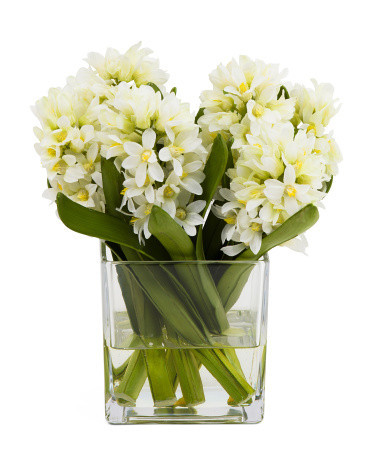 10.5in Hyacinth In Square Glass | TJ Maxx