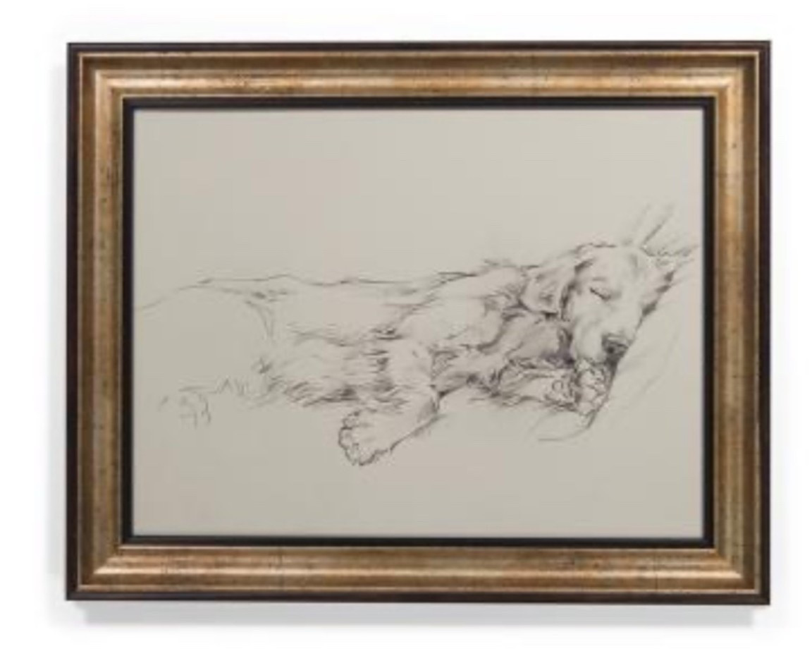I think I need this! Cute sleeping golden retriever framed art.

#LTKSeasonal #LTKHome