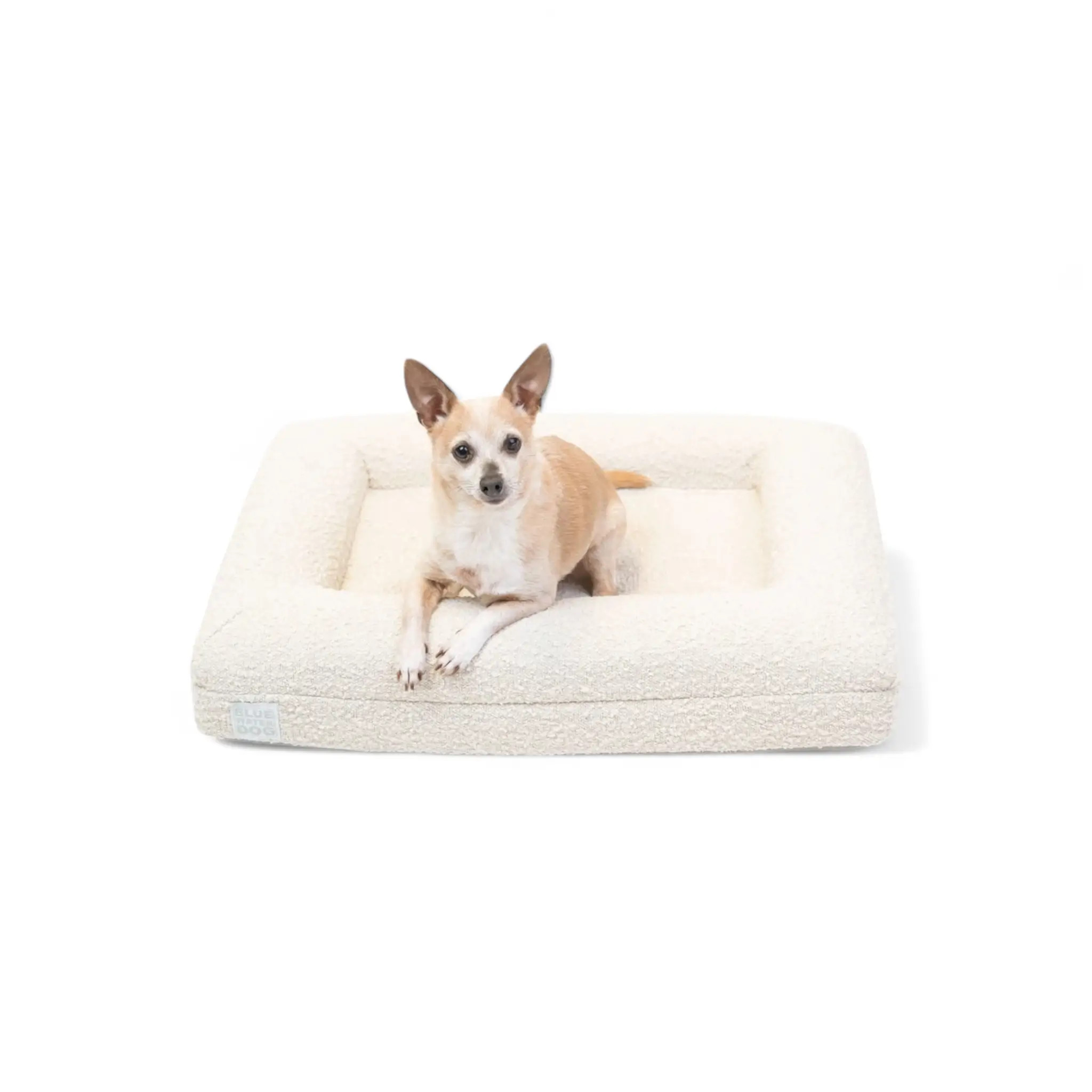 Small Luxury Bouclé Orthopedic Bluewater Dog Bed (Cloud) | Bluewater Dog