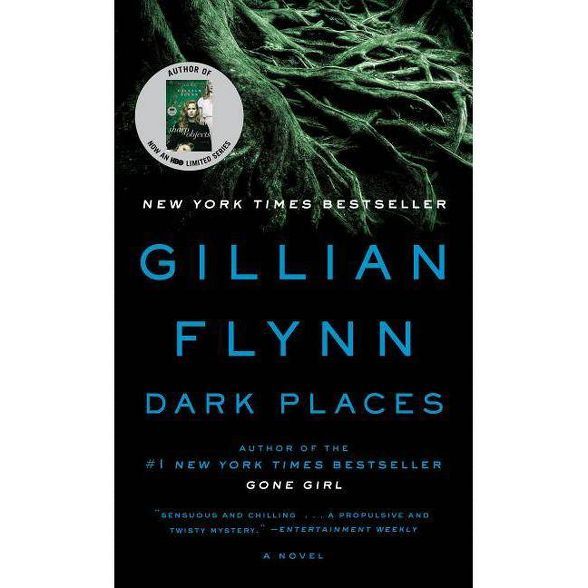 Dark Places - by  Gillian Flynn (Paperback) | Target