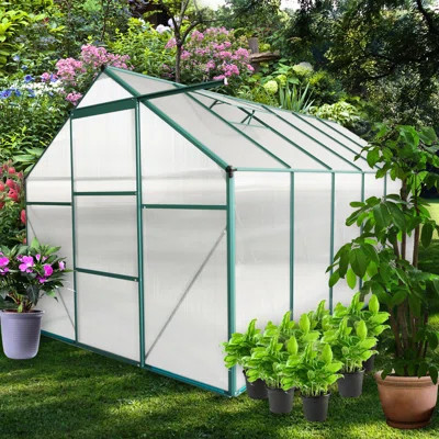 6x12 Ft Polycarbonate Greenhouse For All Seasons - With Spacious Interior And Door Ventilation Protection Outdoor Use | Wayfair North America
