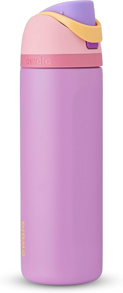 Owala Disney Princess FreeSip Insulated Stainless Steel Water Bottle with Straw for Sports and Tr... | Amazon (US)