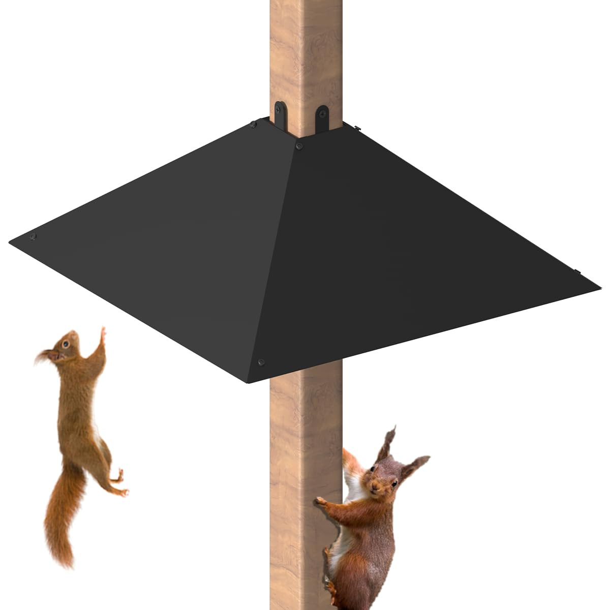 Metal Squirrel Baffle for 4x4 Post, Outside Wooden Pole Mount Squirrel Guards for Bird Feeders, 1... | Amazon (US)