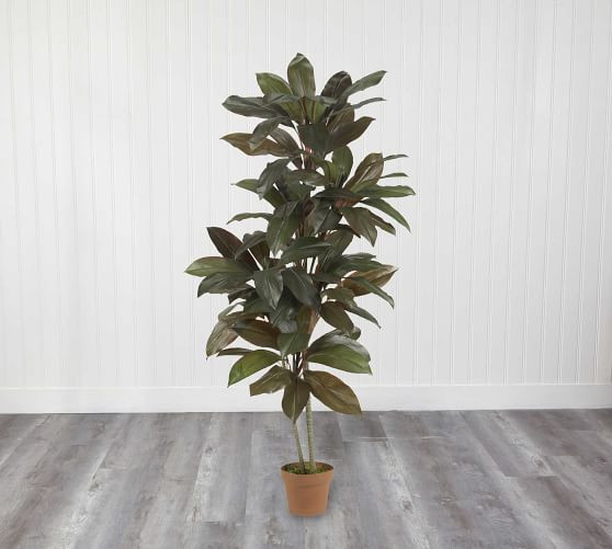 Faux Potted Cordyline Plant | Pottery Barn (US)