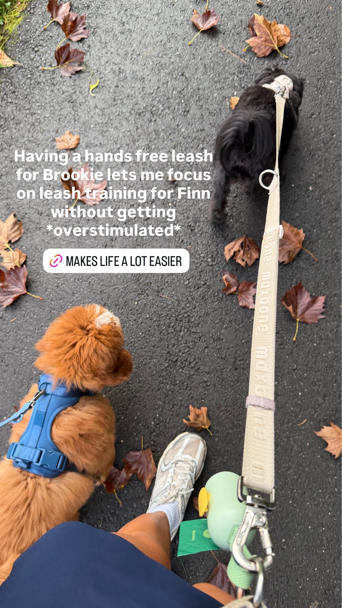 The hands free leash that makes my life way easier when walking two dogs at once