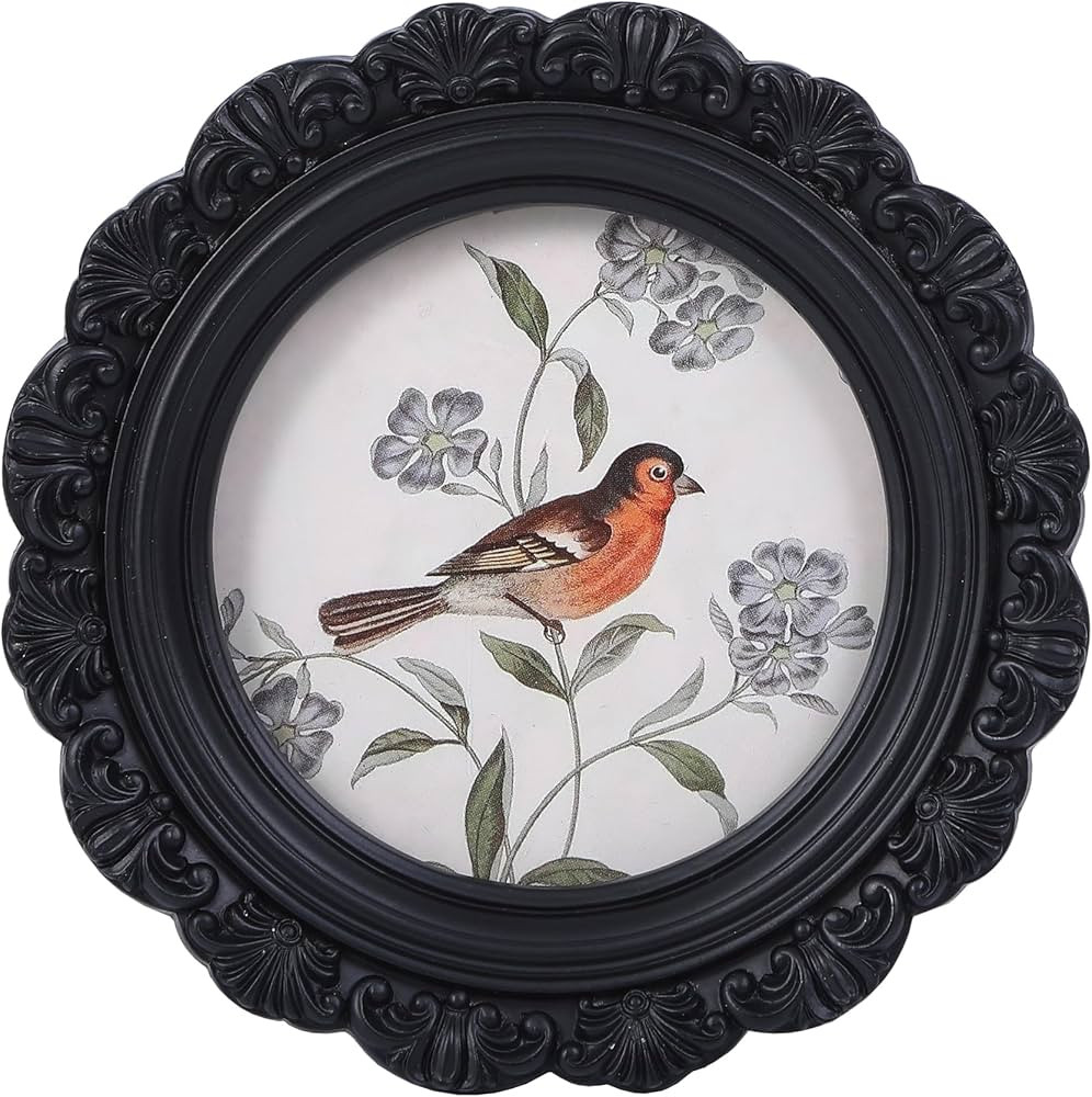 Antique Picture Frames 3x3 Vintage Frames Mini Pictures Frames Black Round Frames Bird Picture Fr... | Amazon (US)
