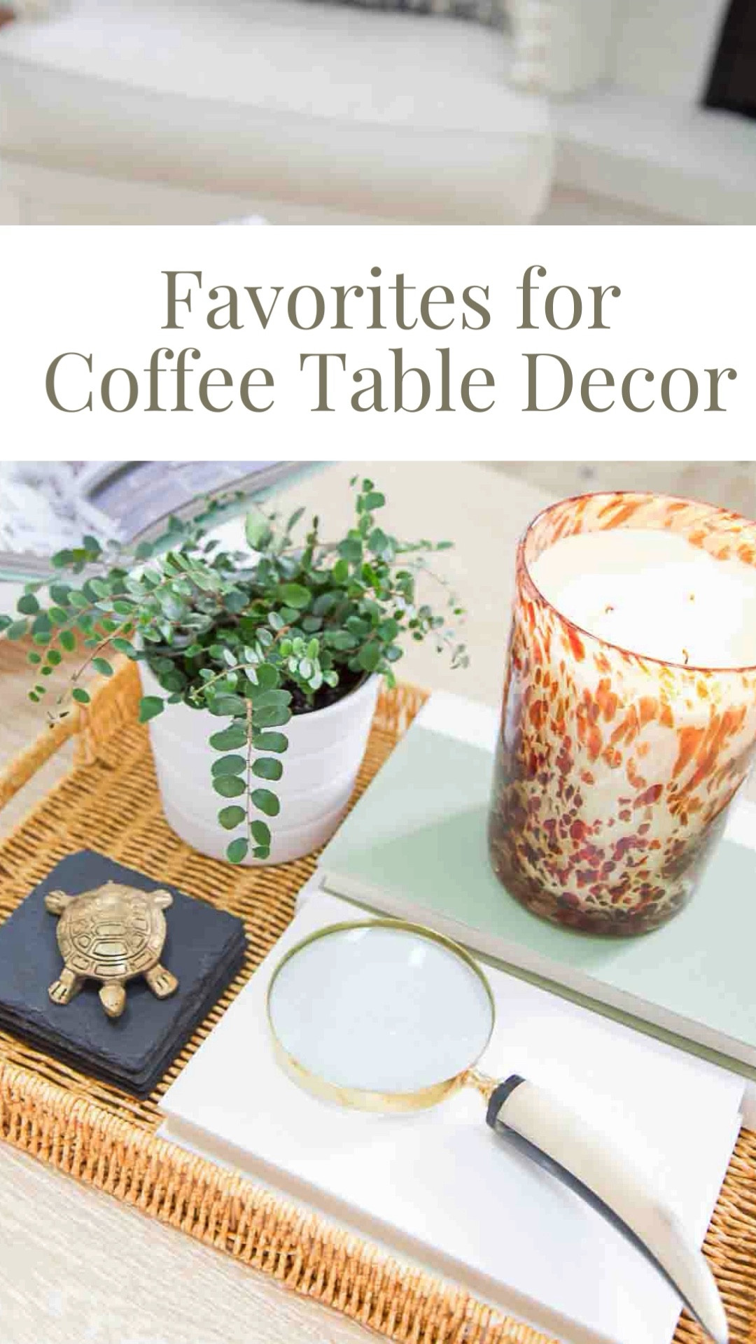 My favorite items to decorate coffee tables ❤️