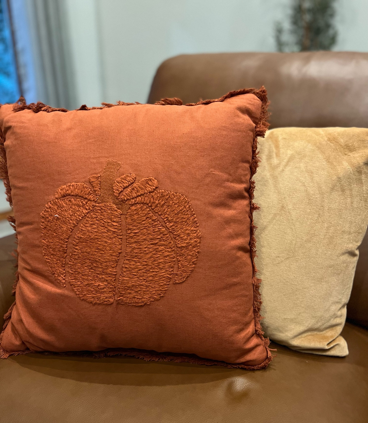 Pumpkin pillow
Fall decor
Home decor 

#LTKhome #LTKstyletip #LTKSeasonal