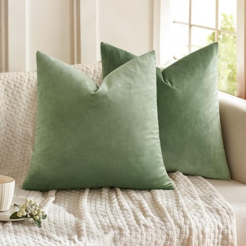 MIULEE Pack of 2 Sage Green Pillow Covers 18x18 Inch Decorative Velvet Throw Pillow Covers Modern Soft Couch Throw Pillows Farmhouse Home Decor for Spring Sofa Bedroom Living Room | Amazon (US)
