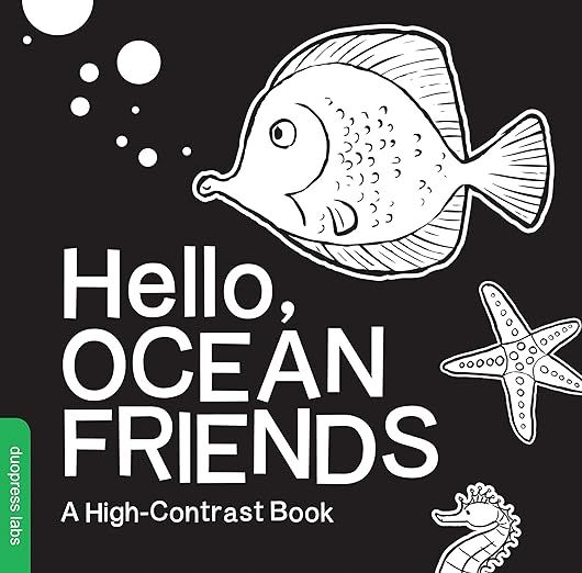 Hello, Ocean Friends: A Durable High-Contrast Black-and-White Board Book for Newborns and Babies ... | Amazon (US)