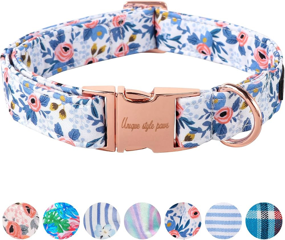 Unique style paws Dog Collar Metal Buckle Red Rose Collar Flower Gift Durable Cute Collar for Sma... | Amazon (US)
