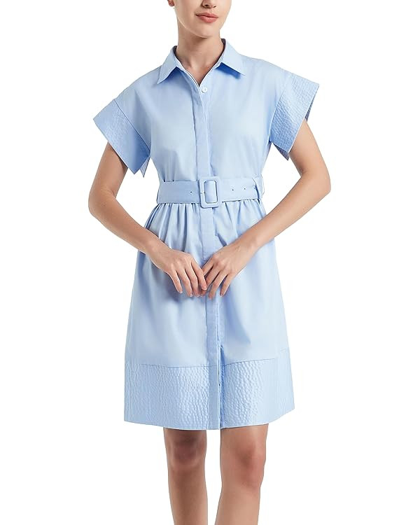 D-Sun Women Casual Button Down Shirt Dress V-Neck Short Sleeves Mini Shirt Dress Belted Short Par... | Amazon (US)