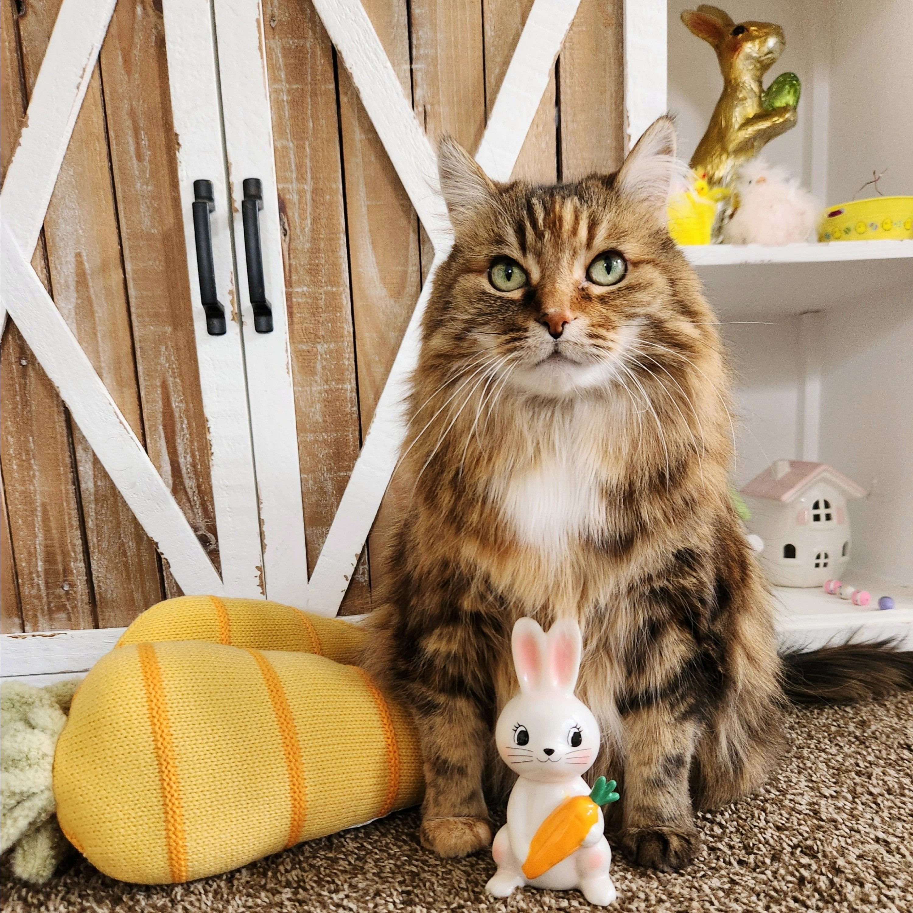 🥕Target Easter Décor Finds🐇Full Details At:CheyMuter.com~Or~🔼Link In Bio🔼#TashaBebe #Cat #Target #TargetDeals #TargetFinds

