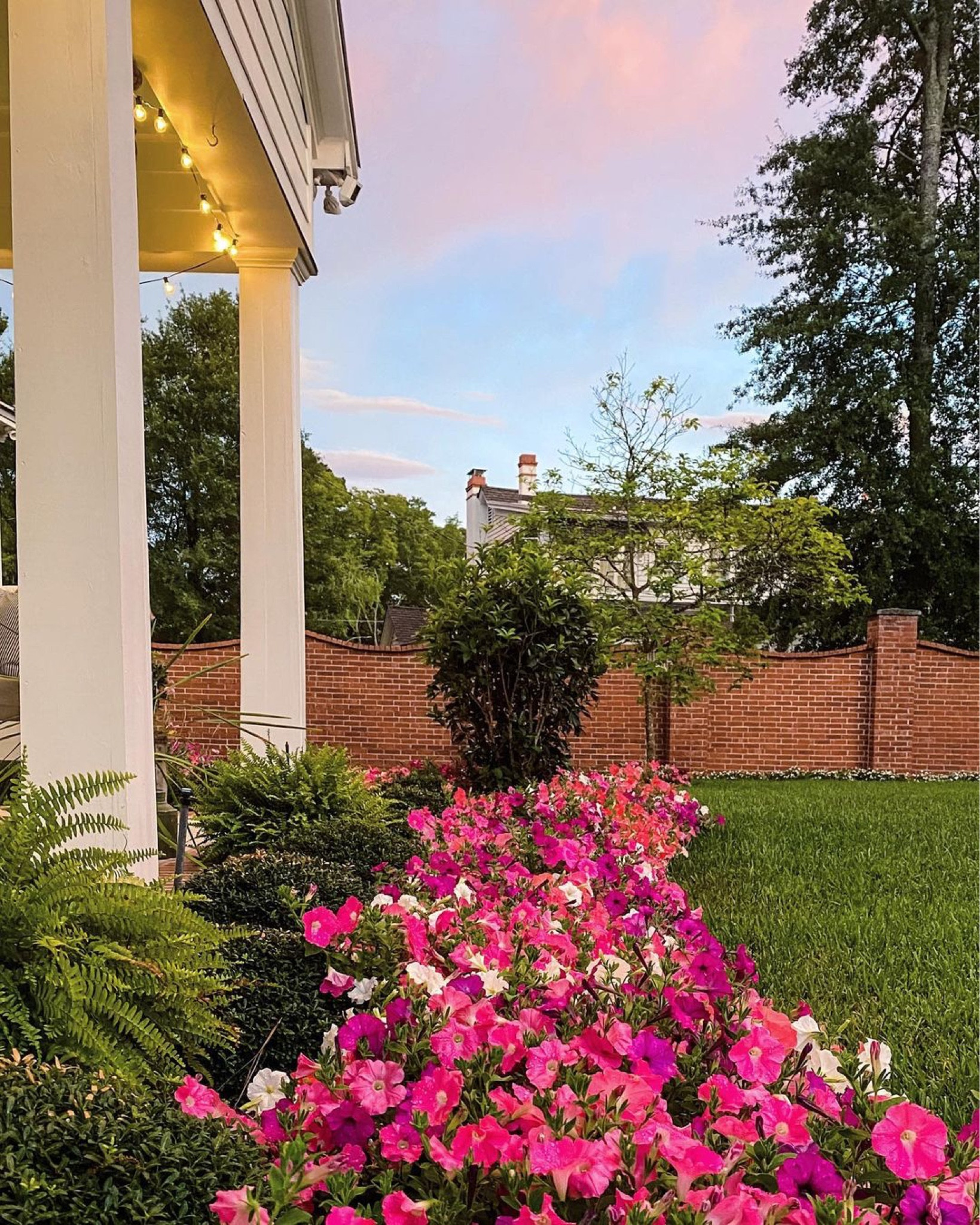 Blossoming Roses and Majestic Crepe Myrtles!!

roses, crepe myrtles, plant care, plants, walmart finds, flower care, gardening, gardening tips

#LTKSeasonal #LTKHome