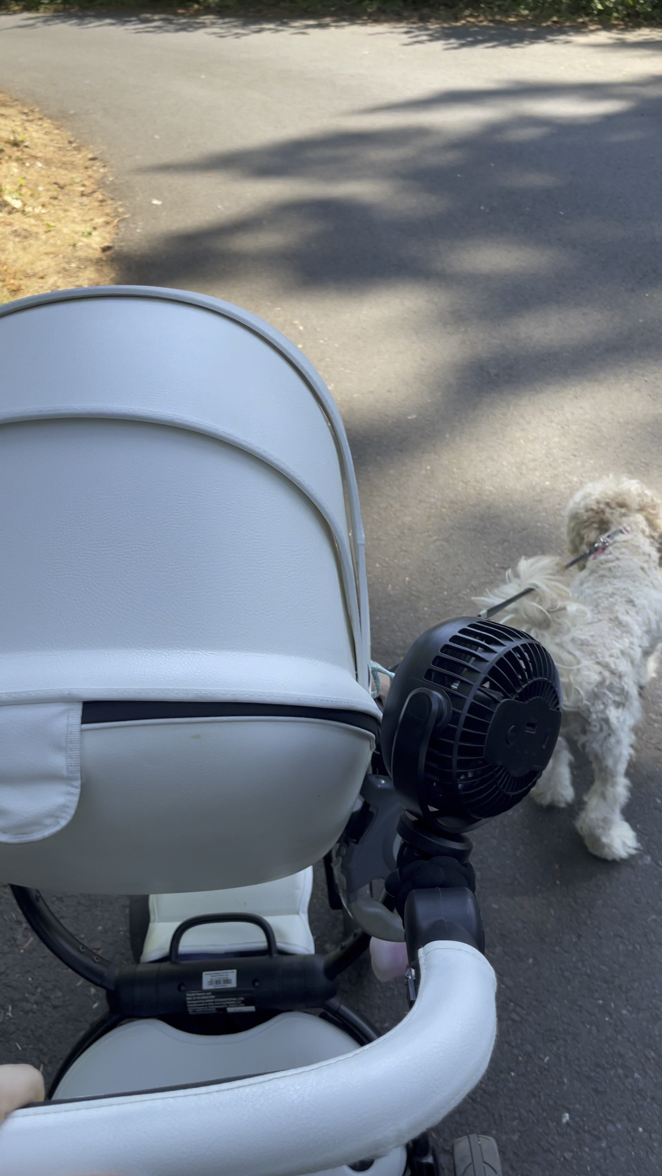 classiest stroller 👌🏽 
love that the bassinet is stored inside the seat for more space saving in your home 🤍 also linking the stroller fan - a must have with kids in the hot summer weather 

#LTKKids #LTKBaby #LTKFindsUnder50