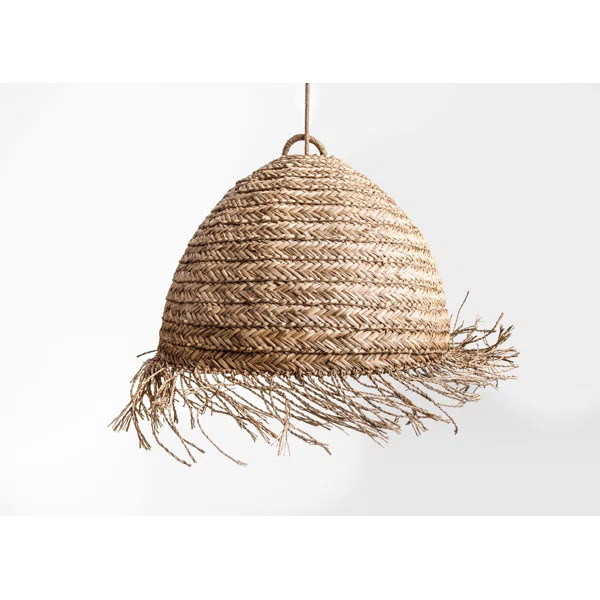 Alleah 1 - Light Single Pendant | Wayfair North America