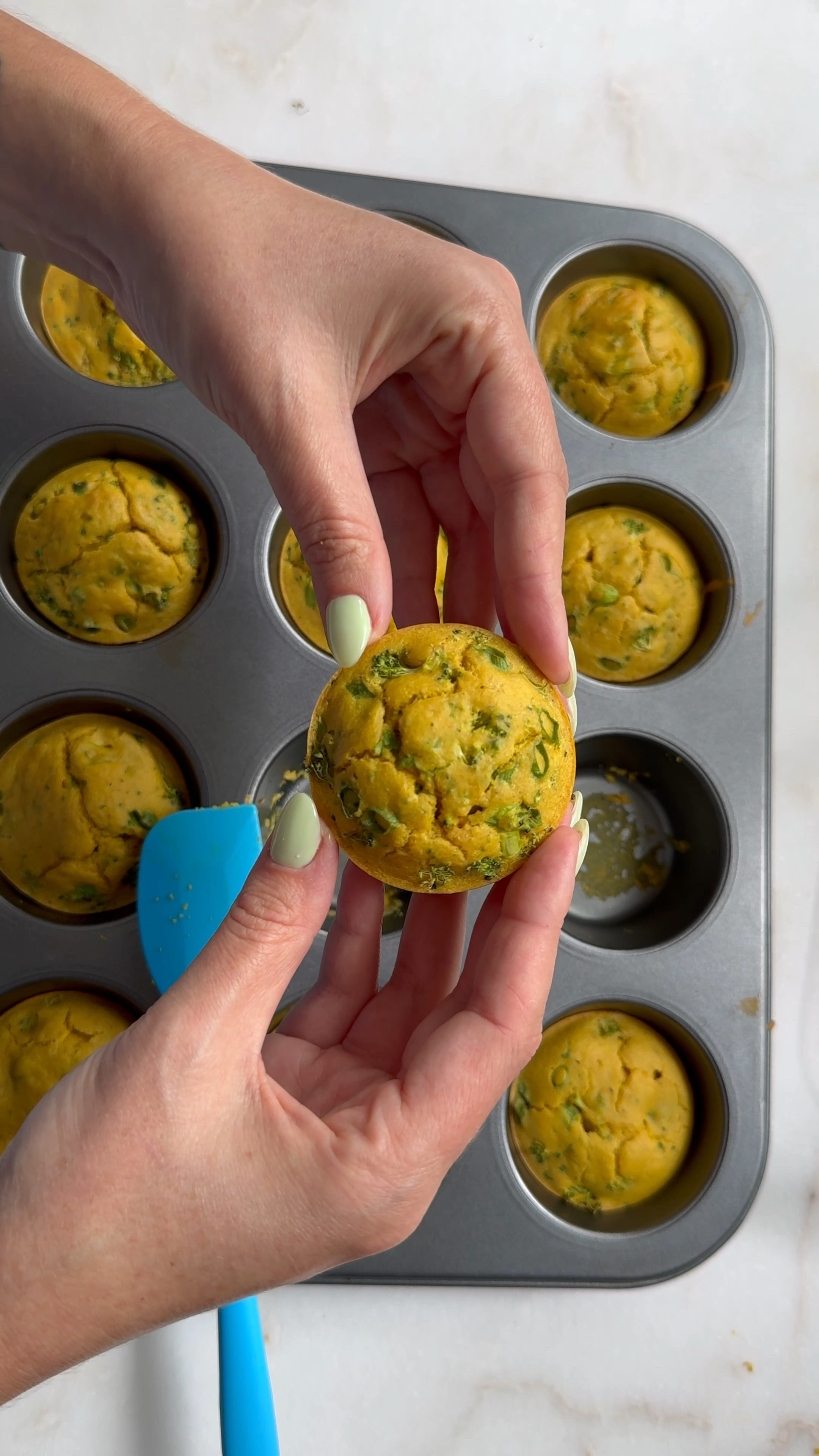 affordable meal prep essentials for these chickpea egg bites 🍳 

#LTKVideo