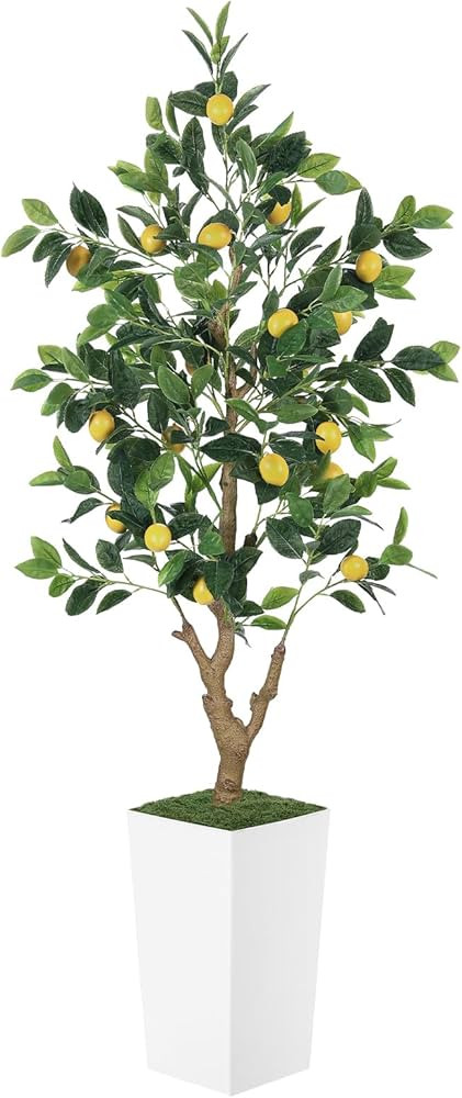 5FT Artificial Lemon Tree with Pot - 60" Fake Lemon Tree with White Tall Planter, Faux Lemon Plan... | Amazon (US)