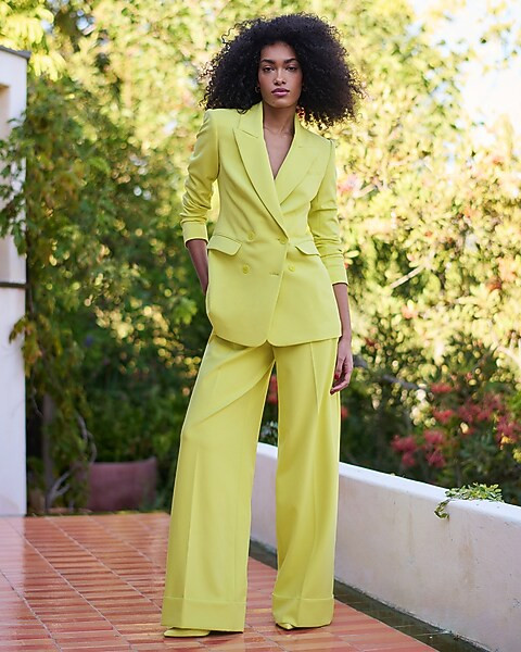 Stylist Super High Waisted Pleated Wide Leg Pant | Express